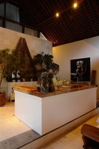 Oazia Spa Villas