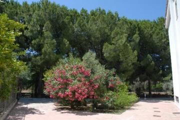 Отель Niki Hotel Apartments Греция, Ялиссос, фото 15