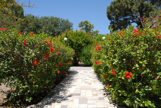 Niki Hotel Apartments