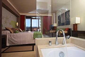 Отель Barcelo Tenerife Испания, о Тенерифе, фото 18