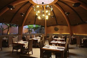 Отель Barcelo Tenerife Испания, о Тенерифе, фото 21