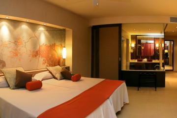 Отель Barcelo Tenerife Испания, о Тенерифе, фото 8
