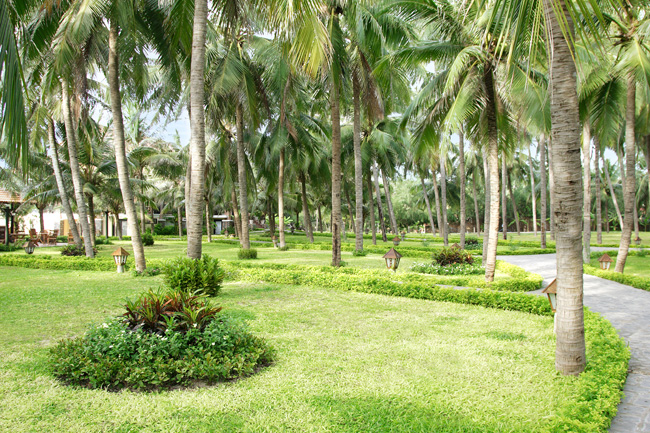 Sea Lion Beach Resort & Spa II