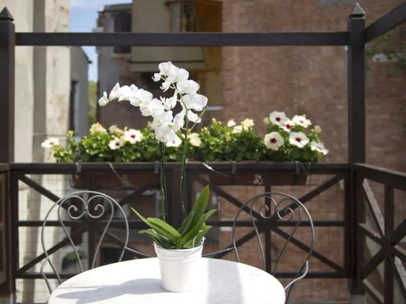 Hotel Campiello