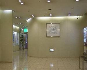 Отель Hearton Hotel Shinsaibashi Япония, Осака, фото 16