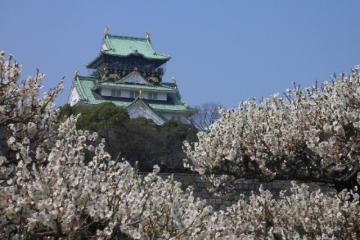 Отель Hearton Hotel Shinsaibashi Япония, Осака, фото 24