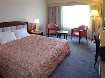 Nikko Kansai Airport