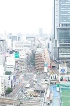 Отель Shibuya Excel Hotel Tokyu Япония, Токио, фото 13