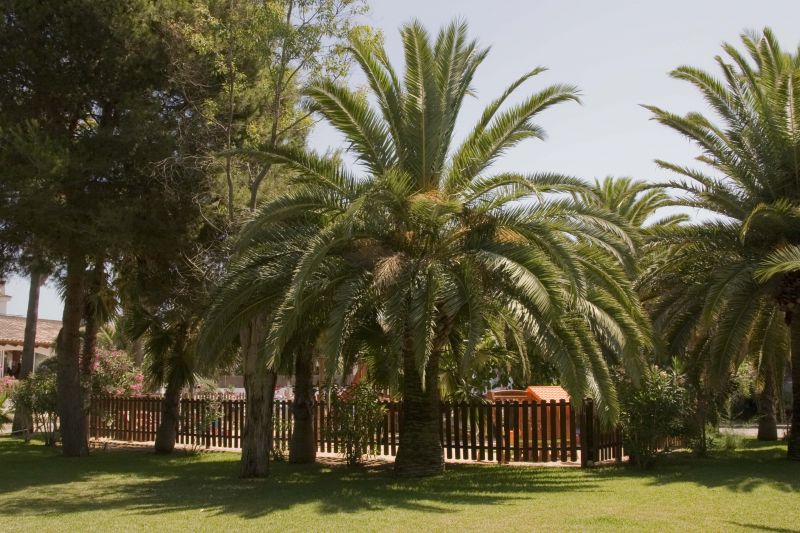 Pierre & Vacances Residence Mallorca Cecilia