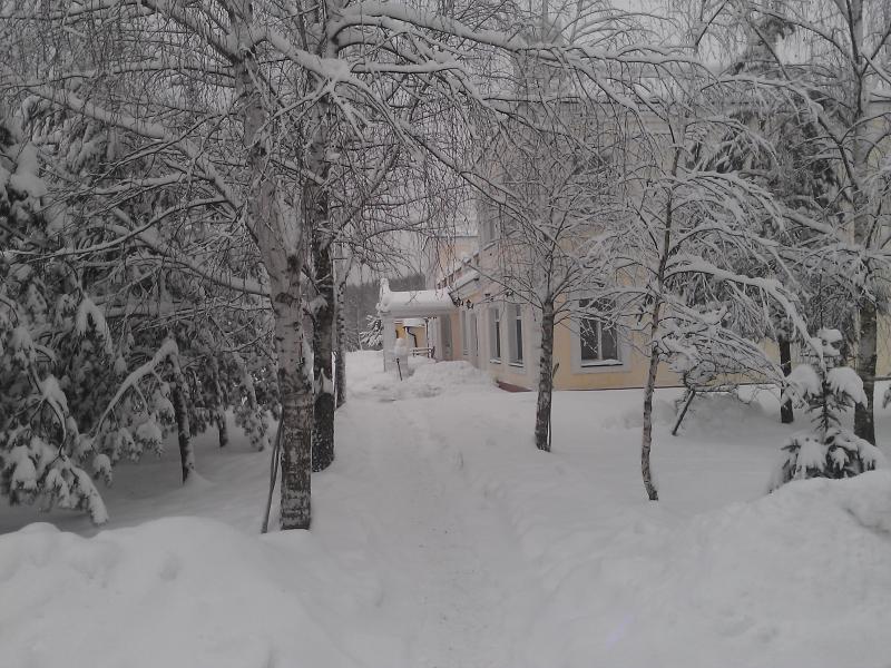 Вишнёвый Сад