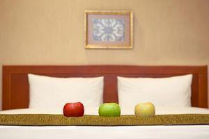 Benefit Plaza Congress Hotel