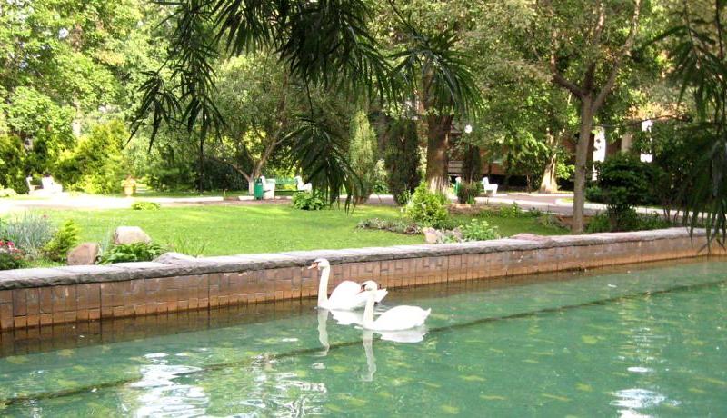 Шереметьевский