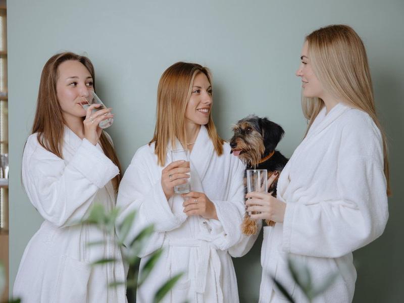 Полисть