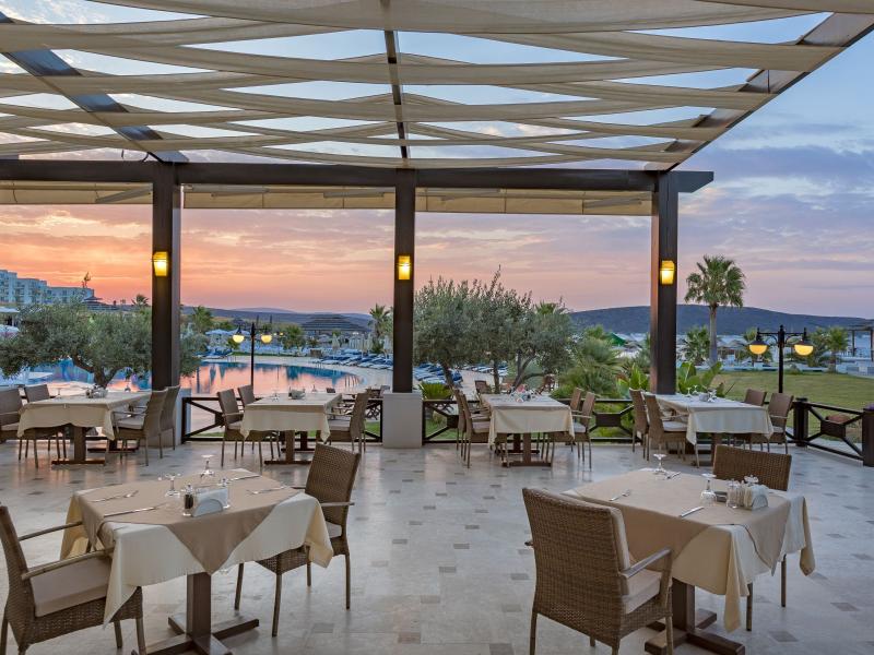 Cocos The Club Solto