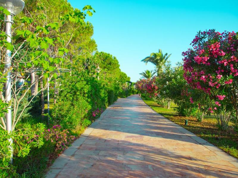 Venosa Beach Resort & Spa