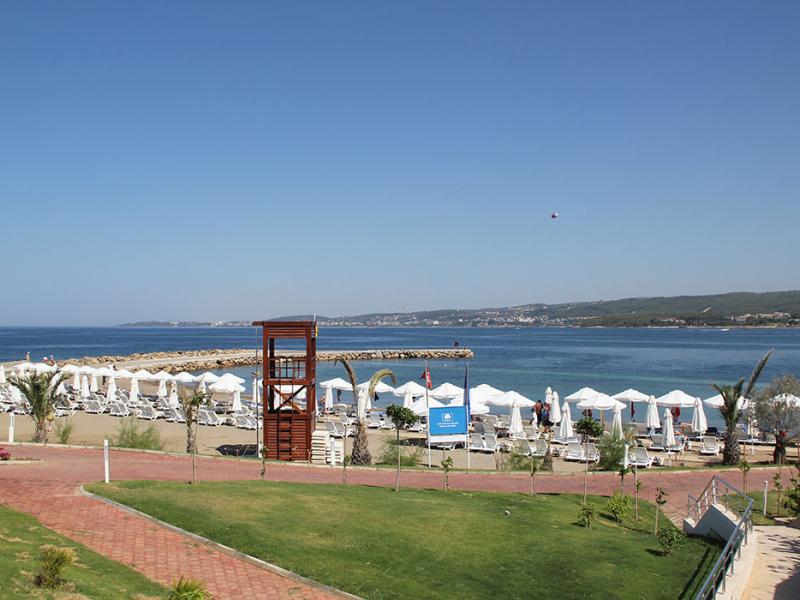 Gold Island Selected