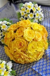 Phi Phi Holiday Resort