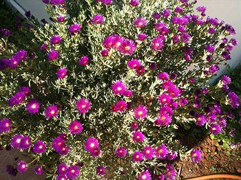 Blue Aegean Hotel & Suites