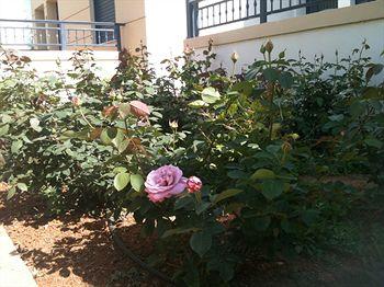 Blue Aegean Hotel & Suites