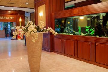 Отель Grifid Hotel Arabella  Болгария, Золотые пески, фото 30