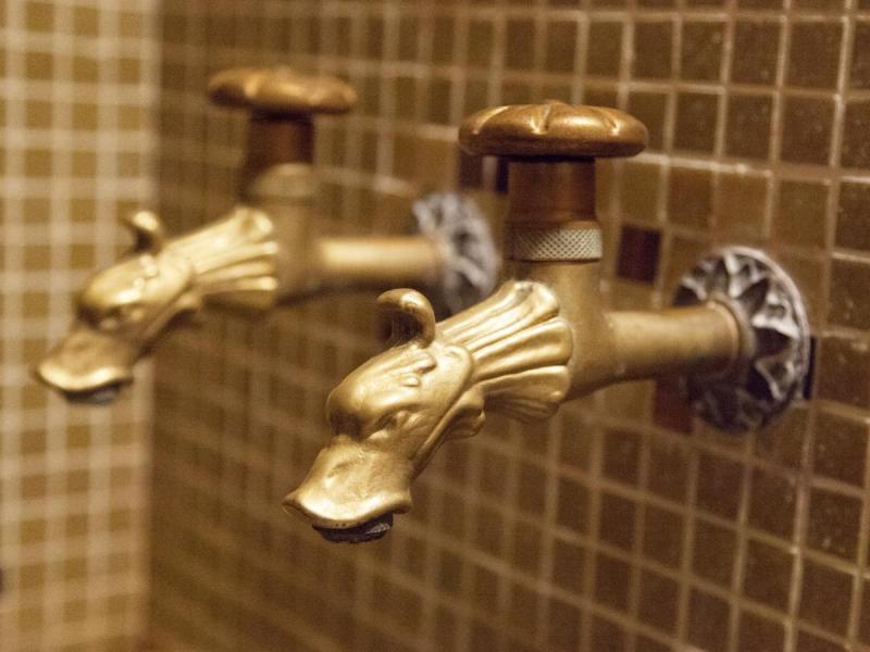 Максима Ирбис