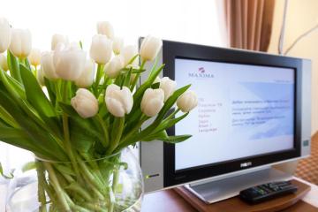 Отель Максима Ирбис Россия, Москва, фото 4