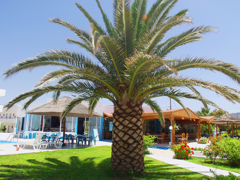 Blue Jay Beach Hotel