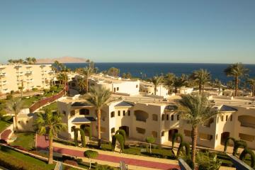 Отель Grand Oasis Resort Египет, Шаркс Бей, фото 13