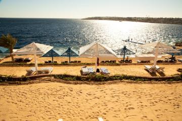 Отель Grand Oasis Resort Египет, Шаркс Бей, фото 20