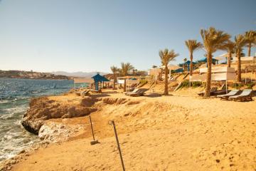 Отель Grand Oasis Resort Египет, Шаркс Бей, фото 23