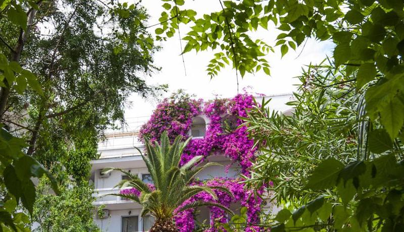 Club Hotel Iliochari