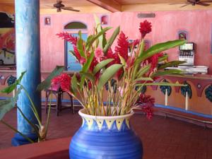 VH Gran Ventana Beach Resort