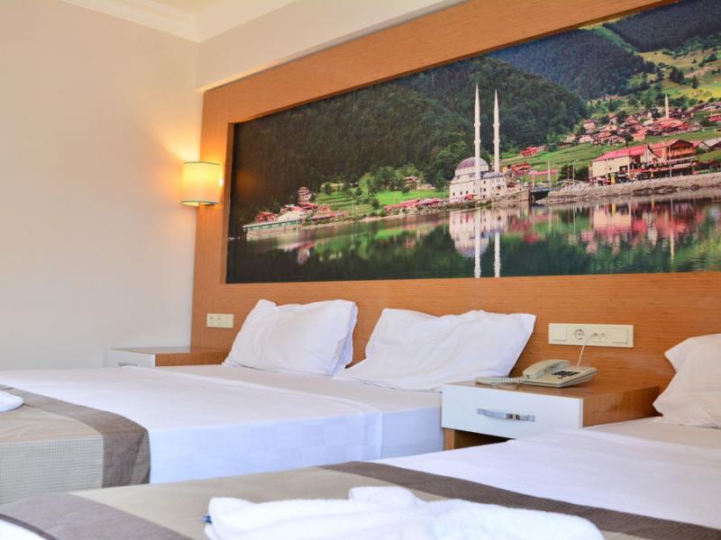 Anita dream hotel 4 отзывы. Anita Dream Hotel 4 Турция. Anita Dream Hotel 4 кириш Eco Room.