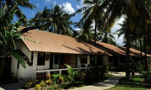 Cocotinos Sekotong Lombok