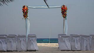 Hotel Playa Palms