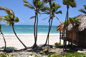 Papaya Playa Project