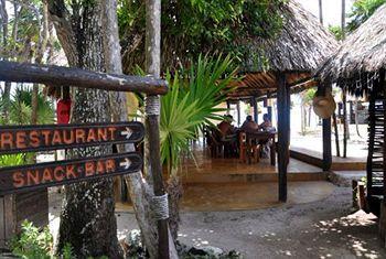 Papaya Playa Project