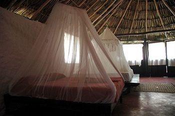 Papaya Playa Project