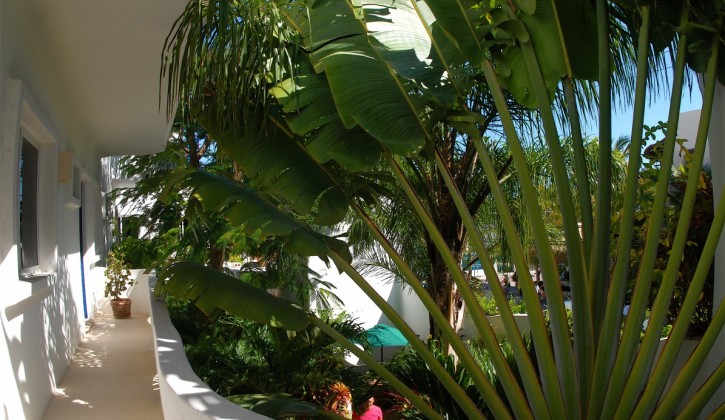 Aqualuna Boutique Hotel