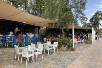 Отель Bodrum Holiday Resort & Spa Турция, Бодрум, фото 11