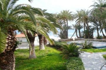 Отель Zeus Hotels Palm Beach Греция, о. Крит-Ираклион, фото 3