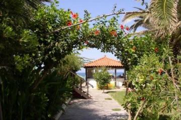 Отель Zeus Hotels Palm Beach Греция, о. Крит-Ираклион, фото 8