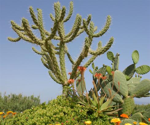 Silver Beach (Gerani)