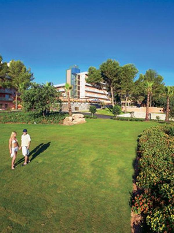 Palmira Paradise