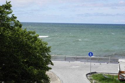 Принцесса Элиза