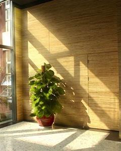 Lilac International Suites