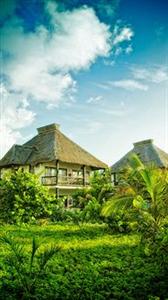 Cabanas Los Lirios Tulum