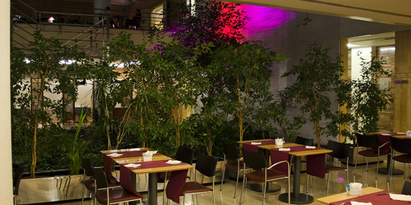 VIP Executive Entrecampos