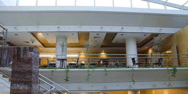 VIP Executive Entrecampos