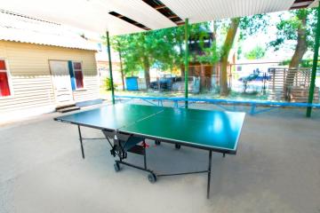 Отель Дельфин Россия, Анапа, фото 8